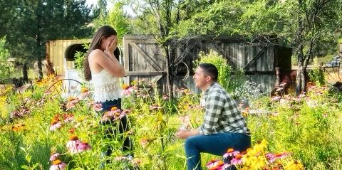 Moriah & Dane Home Page Banner