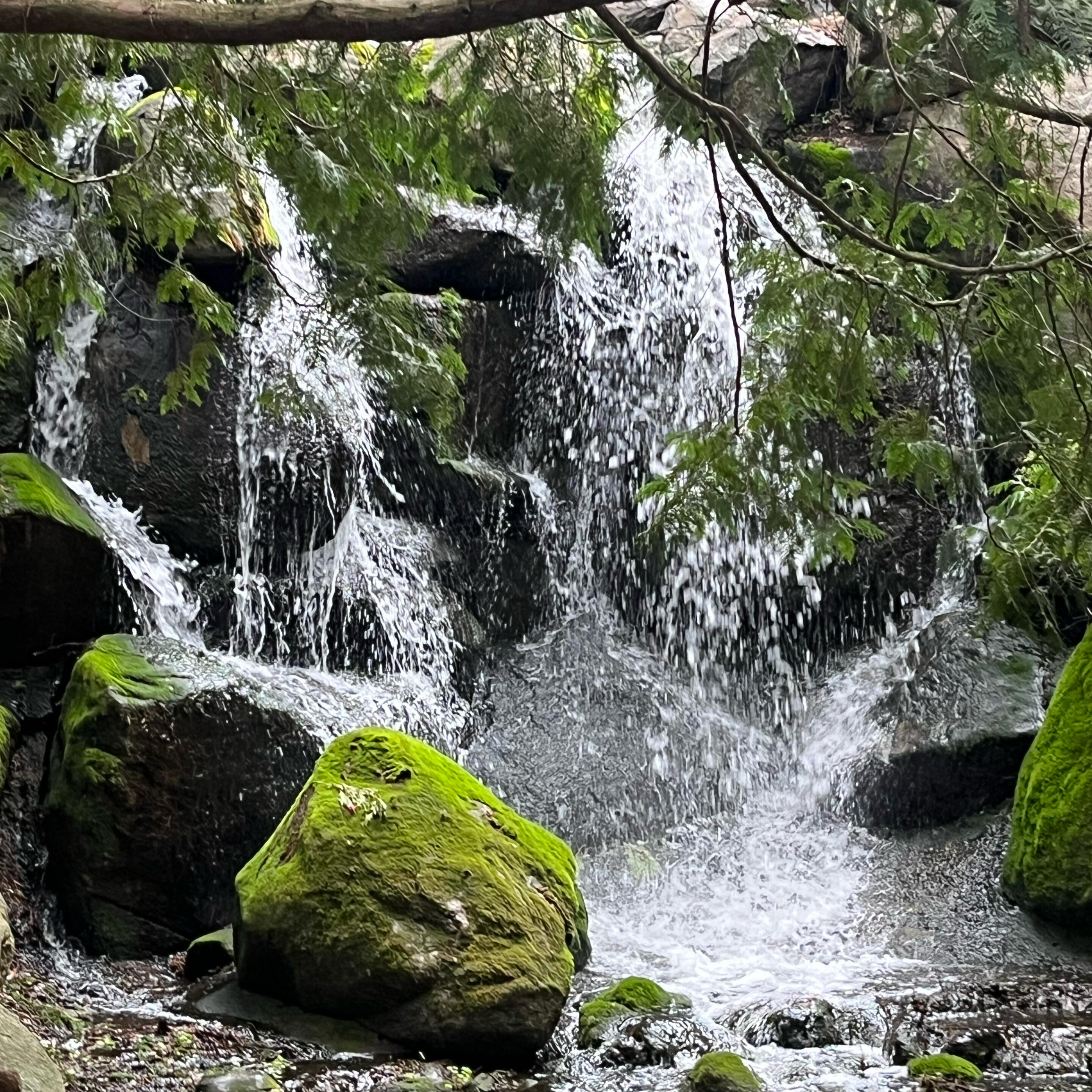 Picture of MN Landscape Arboretum