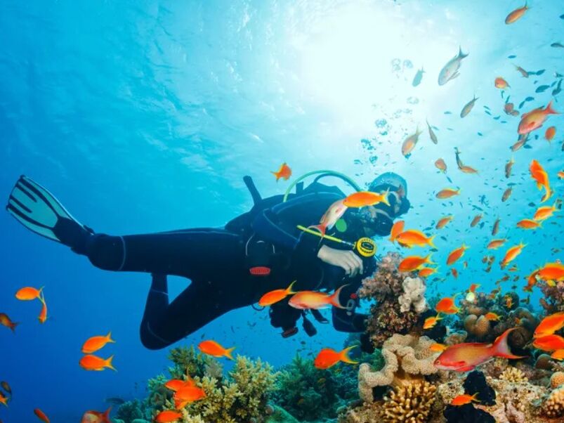 Picture of Scuba Diving in Riviera Maya