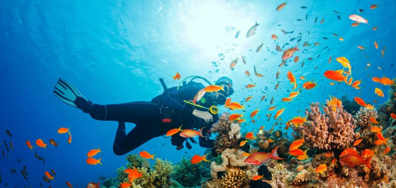 Picture of Scuba Diving in Riviera Maya
