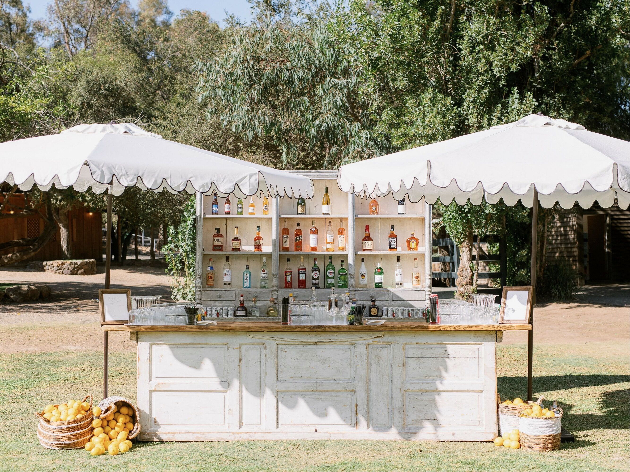 drink station ideas for your next party (or shower or wedding!)