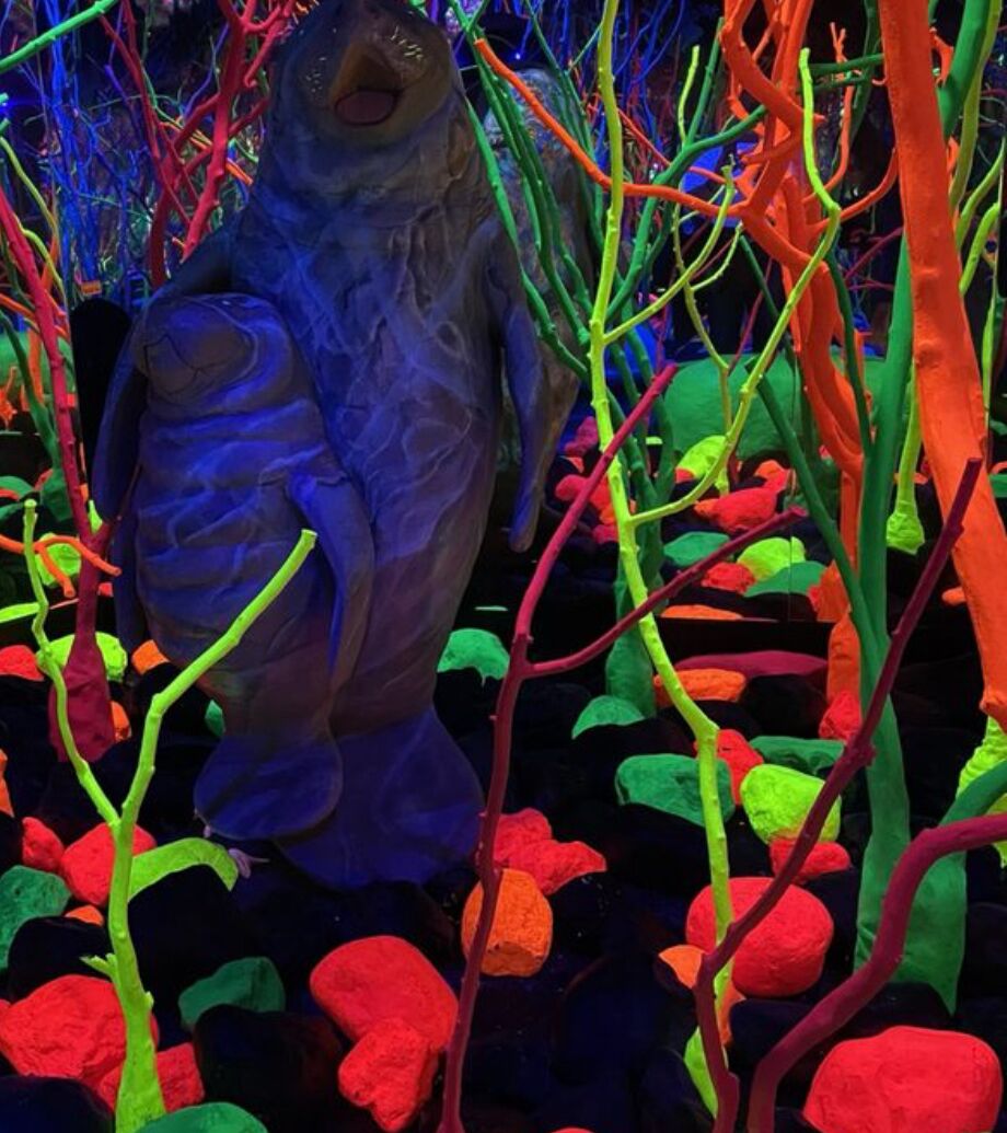 Picture of Meow Wolf Grapevine