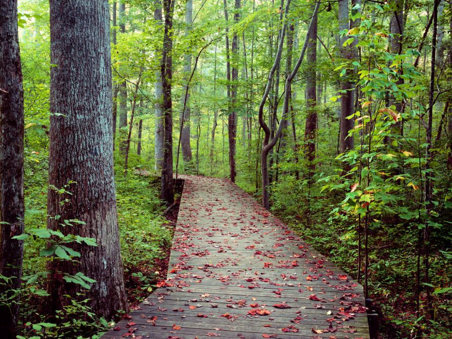 Picture of Hemlock Bluffs Nature Preserve