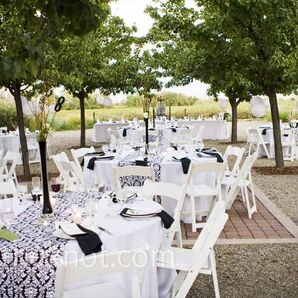 Black and White Reception