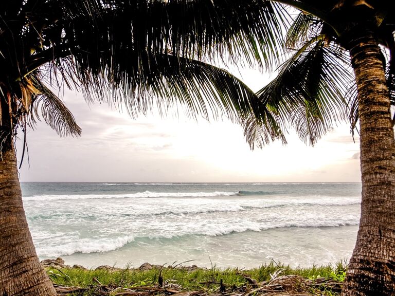 View of a beach in St. Philip framed by tropical palm trees. 