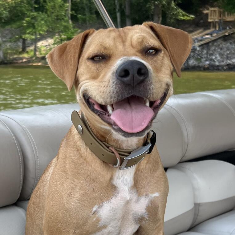 Rosie