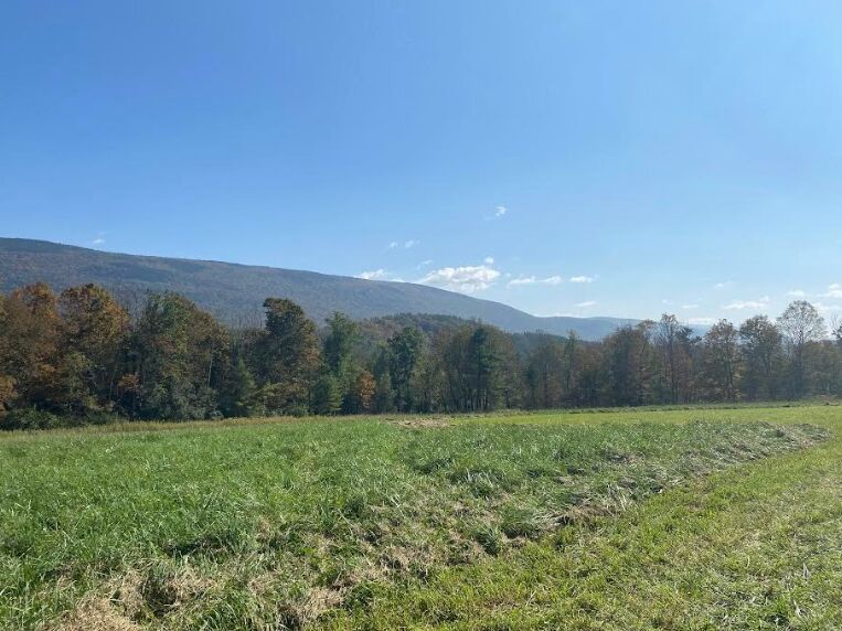 Picture of Levity Mountain