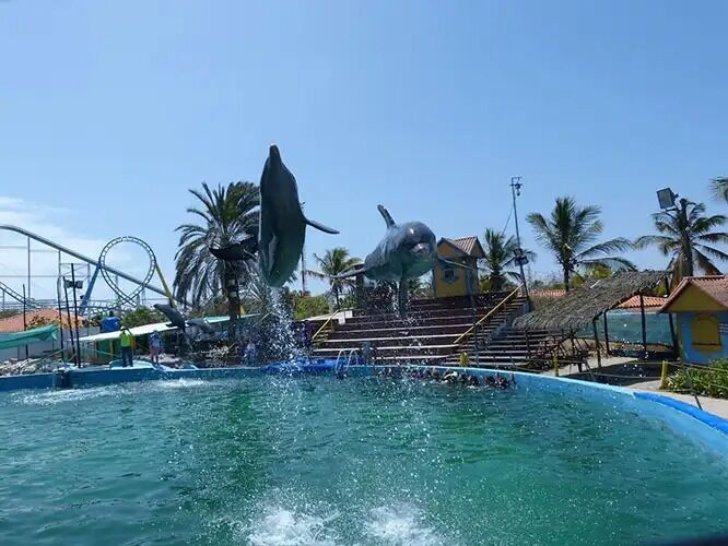 Picture of Waterland Mundo Marino