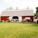 Red Barn Farm Summer Wedding Reception