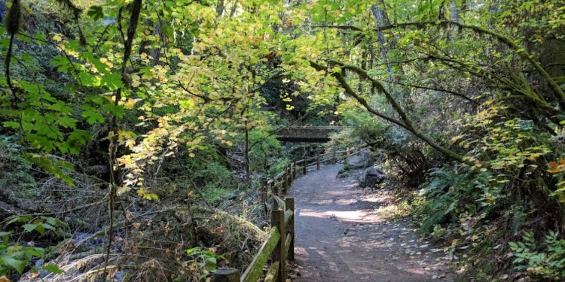 Picture of Forest Park