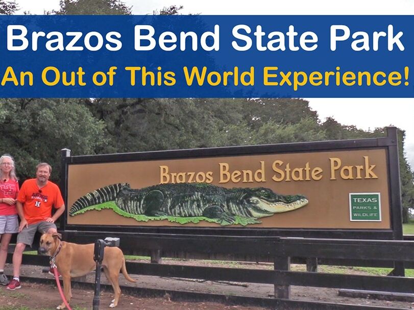 Picture of Brazos Bend State Park