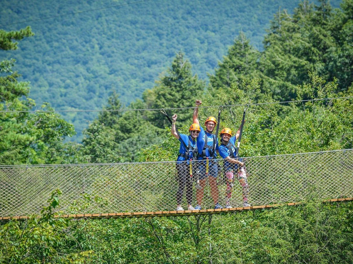 Picture of Bristol Mountain Aerial Adventures