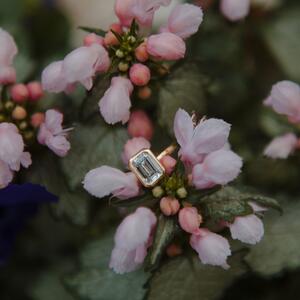 Gallery Photo 26