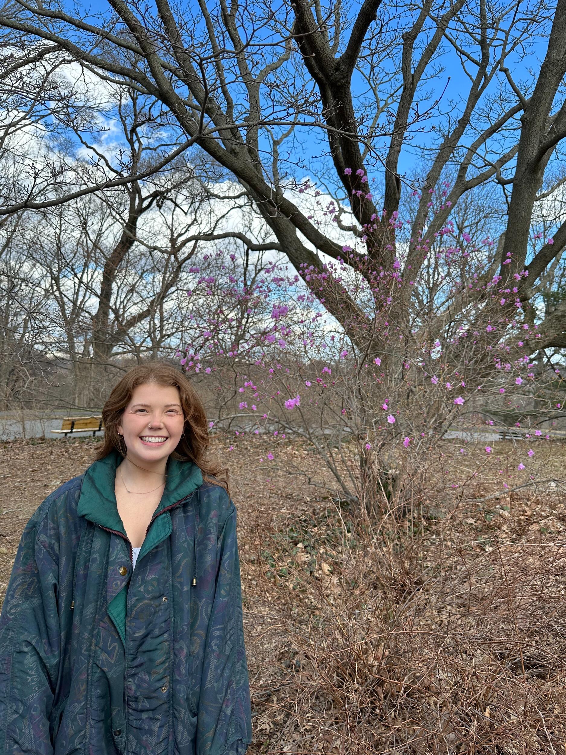 Picture of Arnold Arboretum of Harvard University