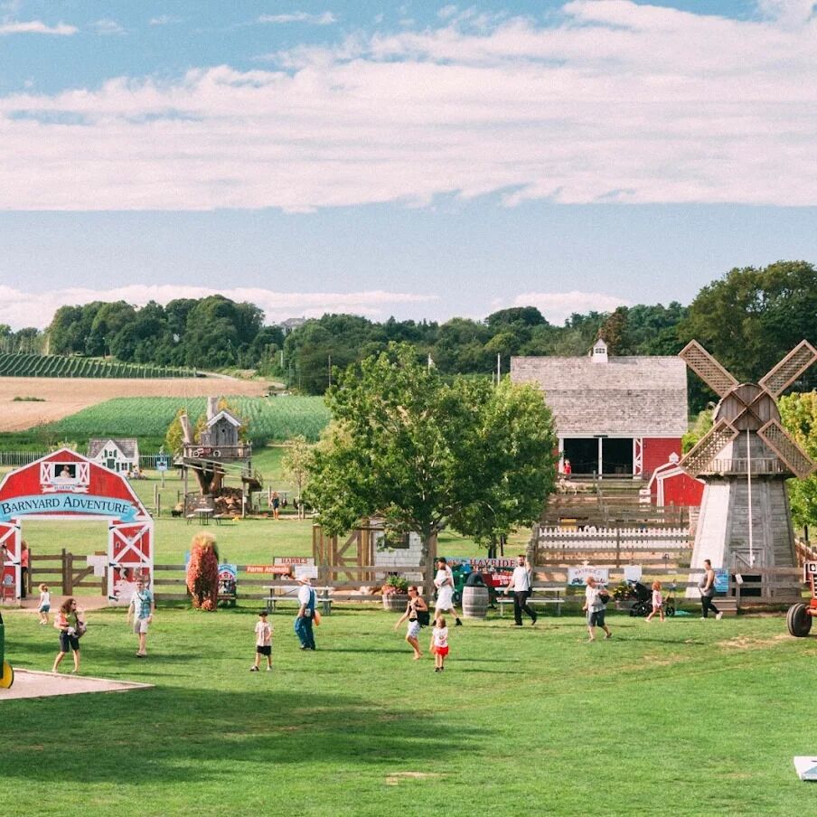Picture of Harbes Family Farm - Mattituck