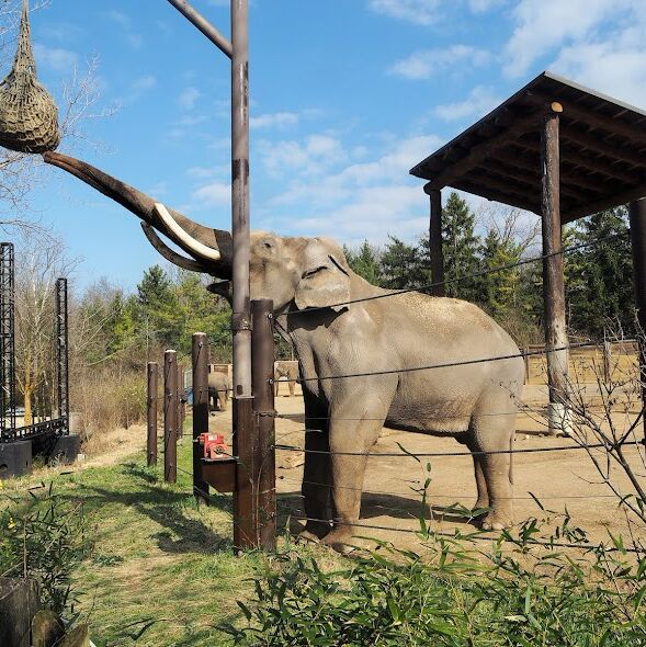 Picture of Columbus Zoo And Aquarium 