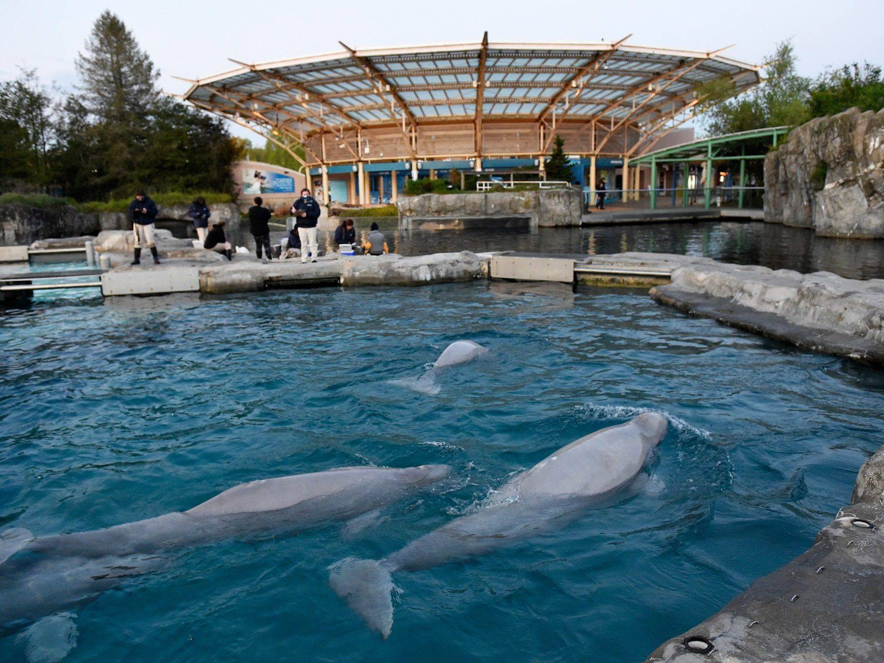 Picture of Mystic Aquarium