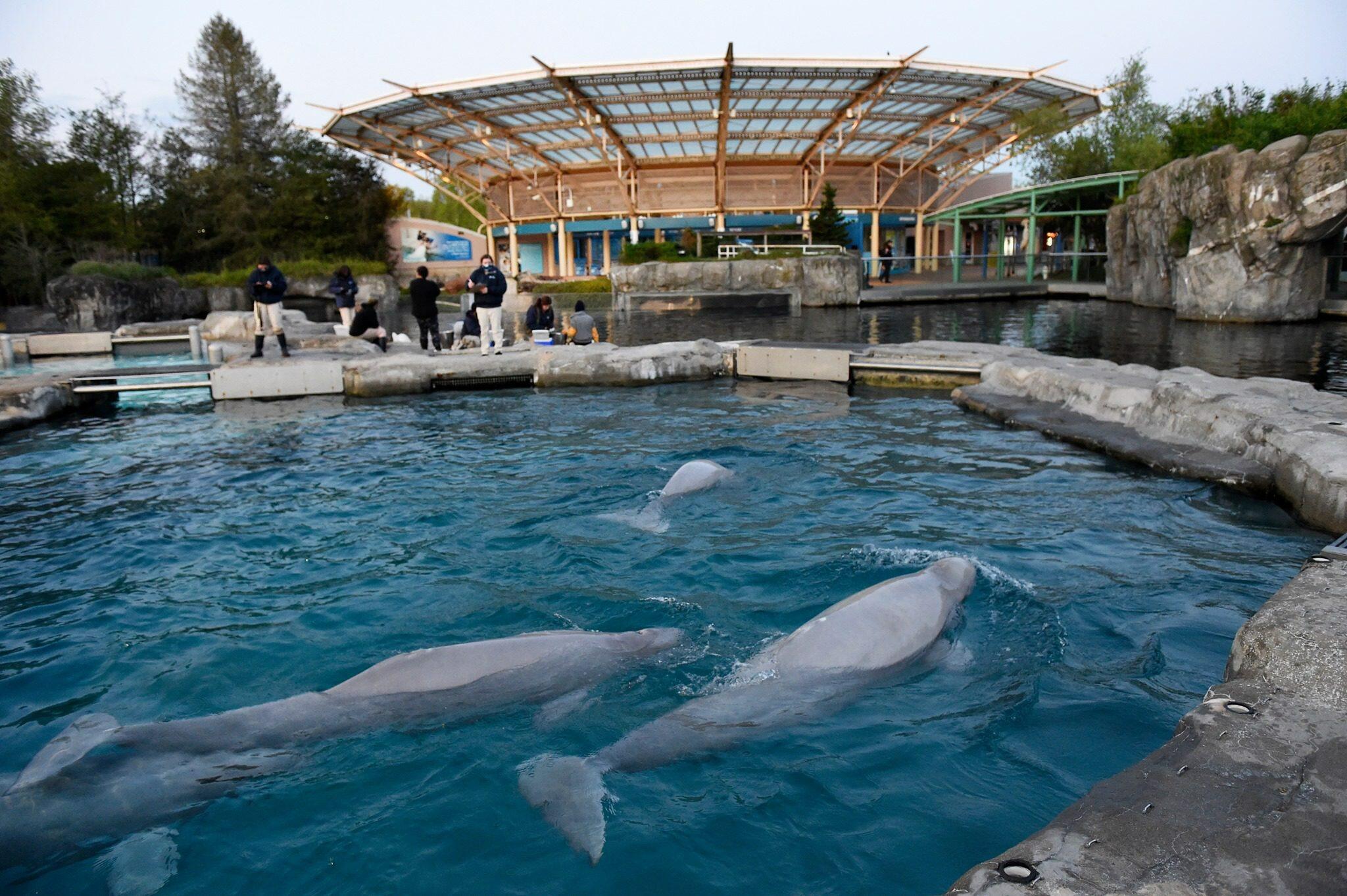 Picture of Mystic Aquarium