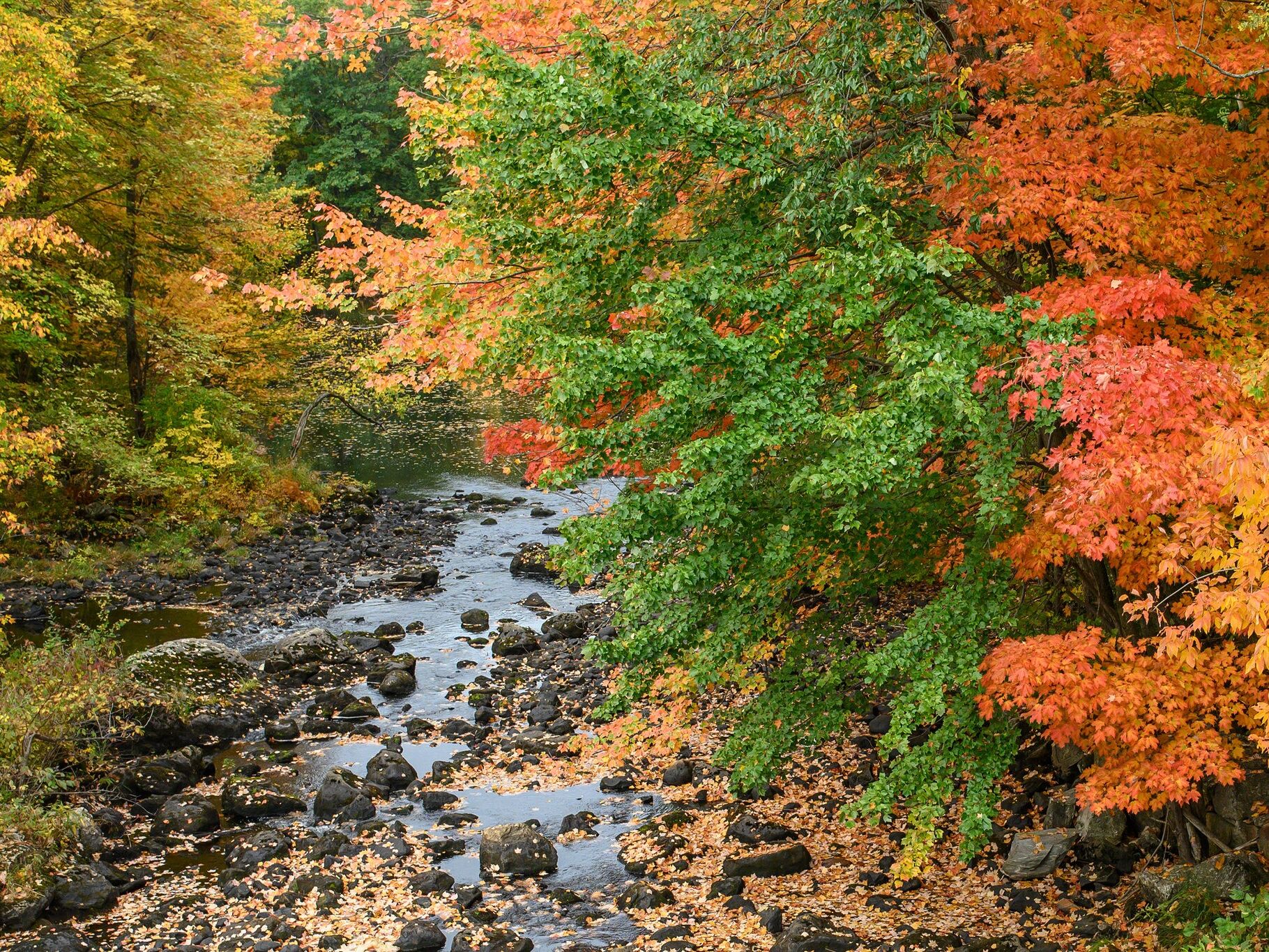 Picture of Hiking & Walking Trails