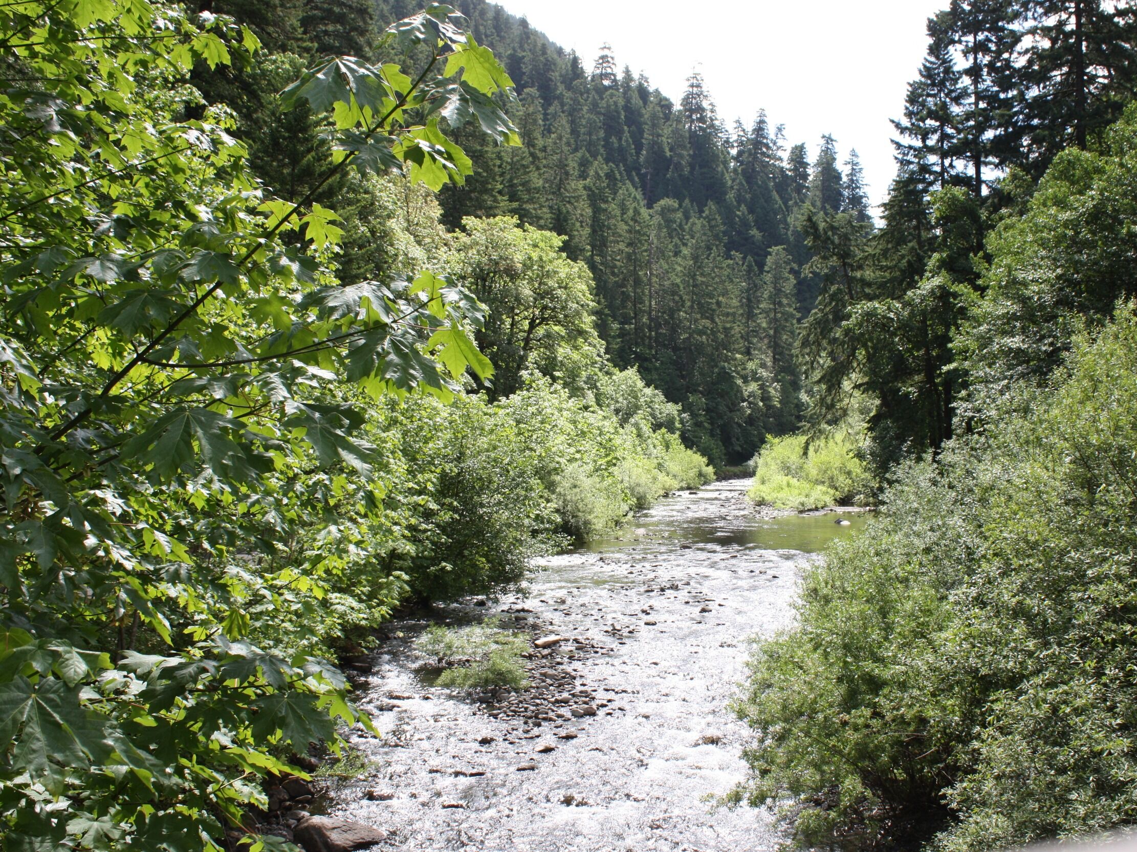 Picture of Eagle Creek Trailhead