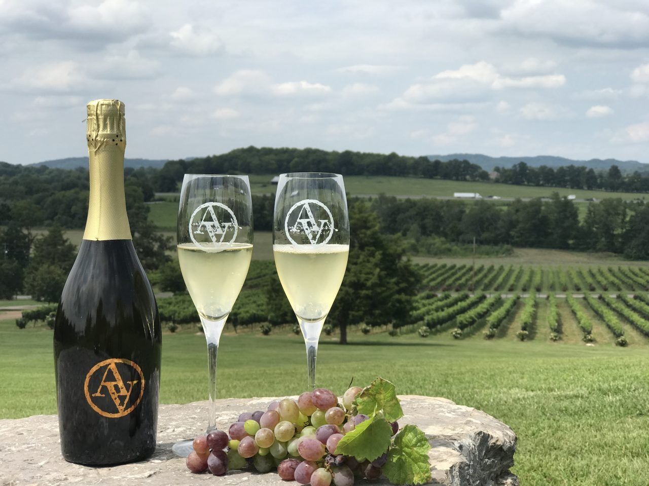Picture of Arrington Vineyards