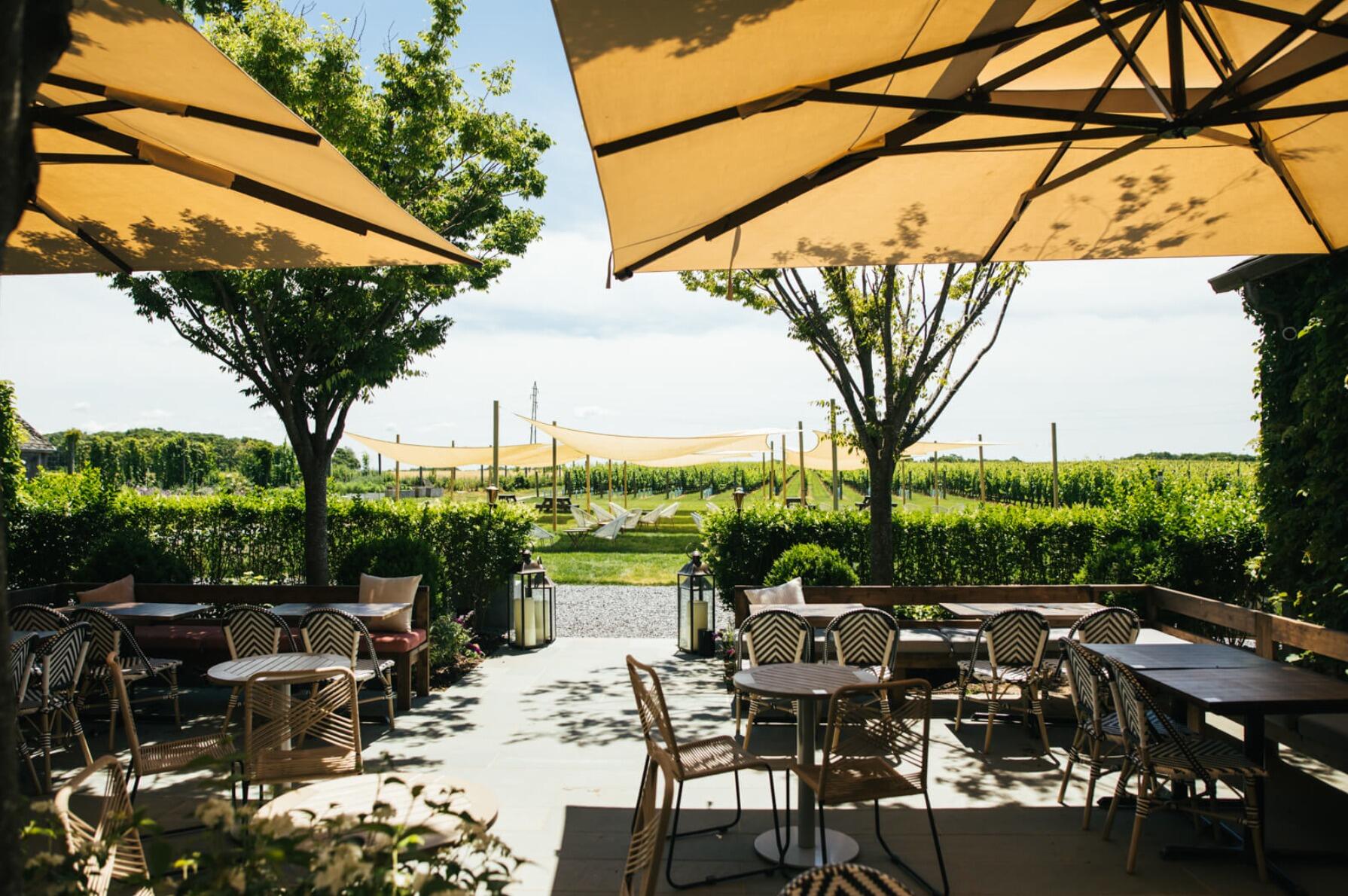 Picture of Rose Hill Vineyards & Inn