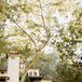 Grooms on a Balcony Overlooking Reception at Spanish-Style Villa at Their Venue