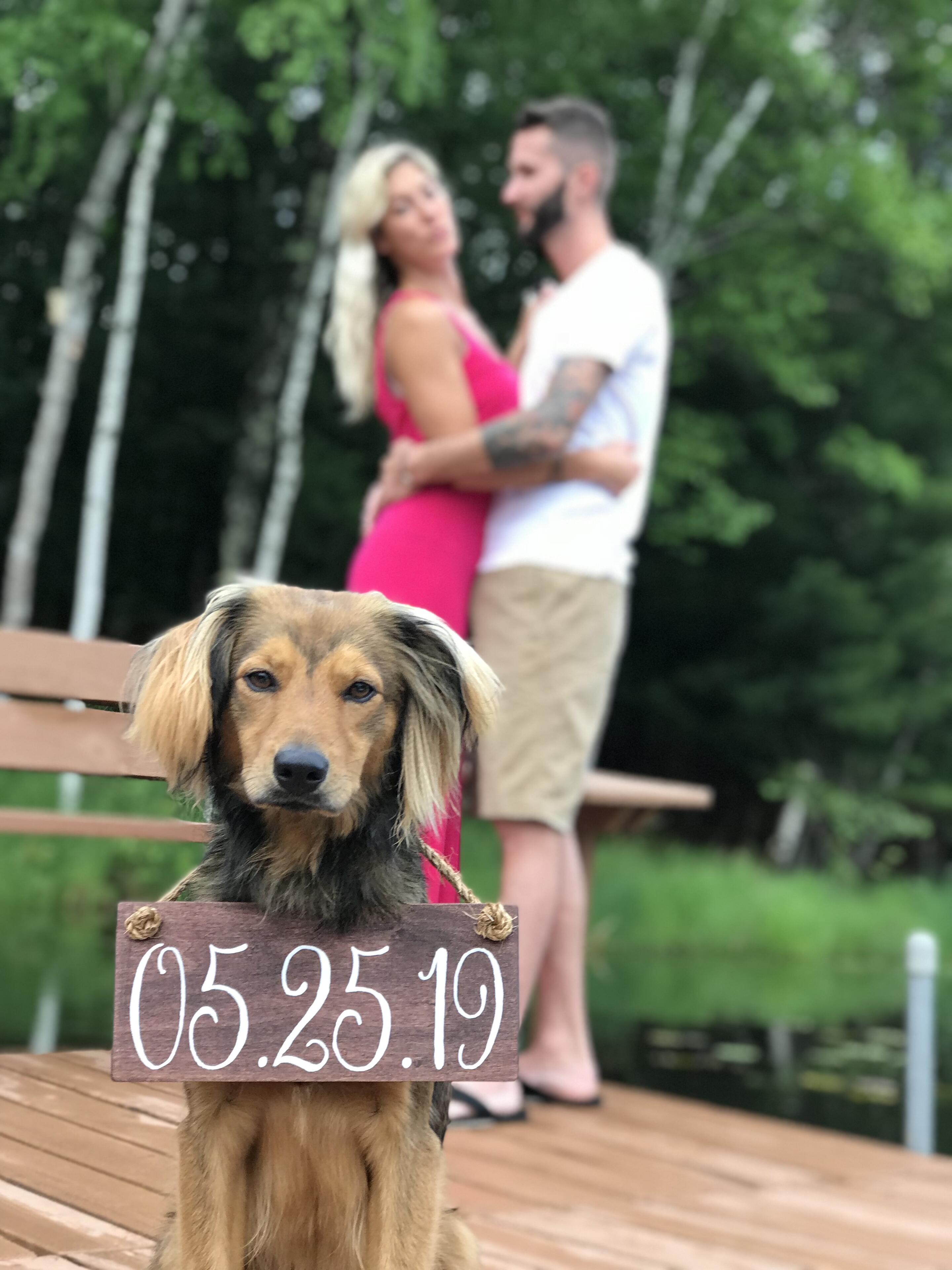 Album Photo 11