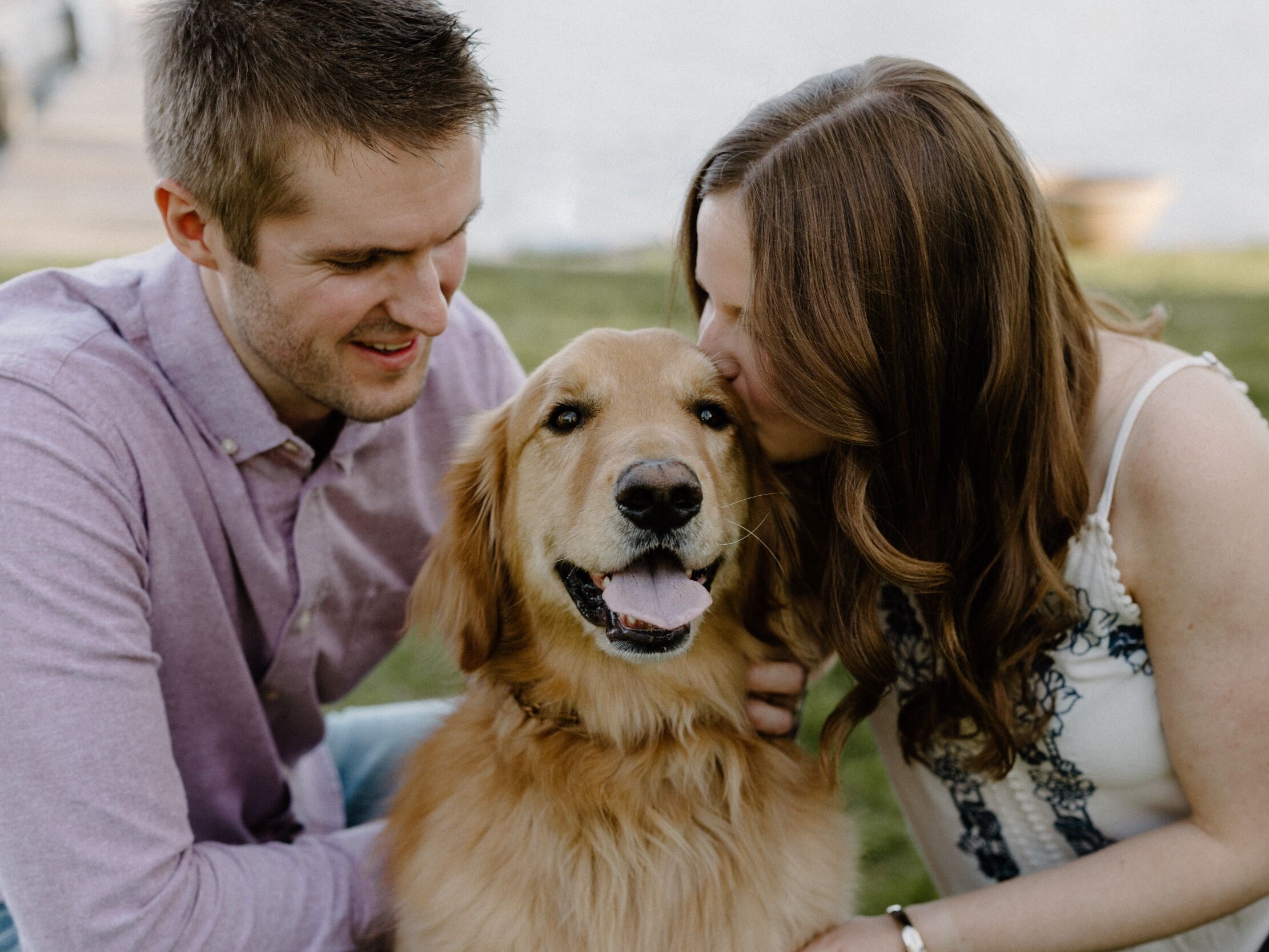 Picture of The Proposal
