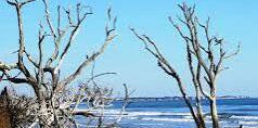 Picture of Botany Bay 