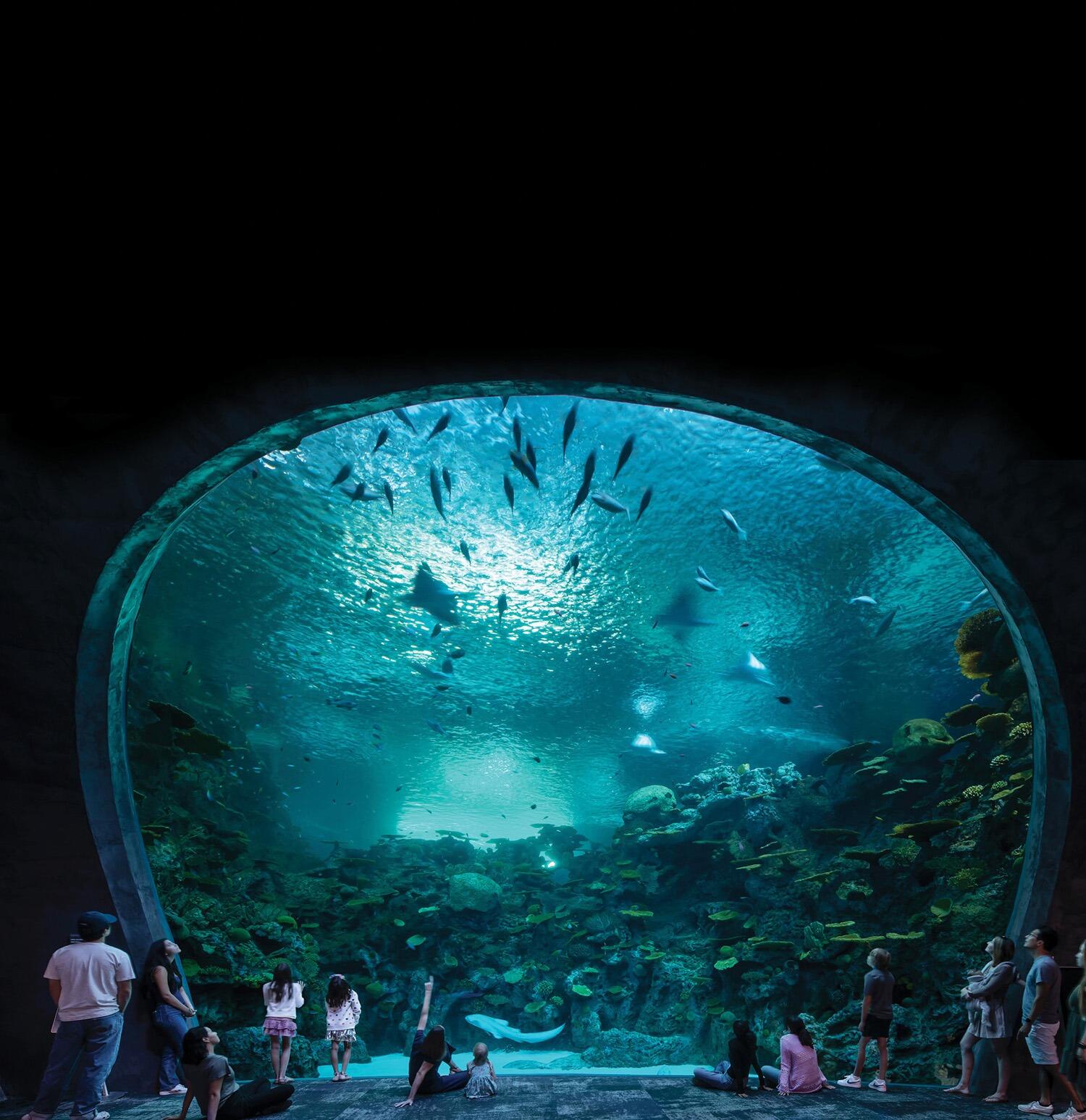 Picture of Seattle Aquarium