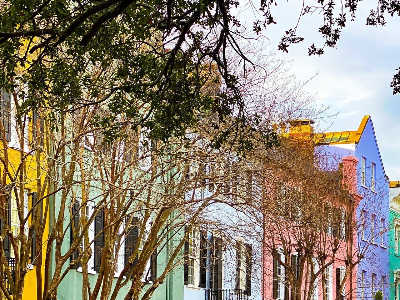 Picture of Charleston Sole Walking Tours