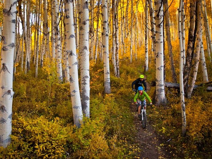 Picture of Mountain Biking, Road Biking, Electric Biking around PC