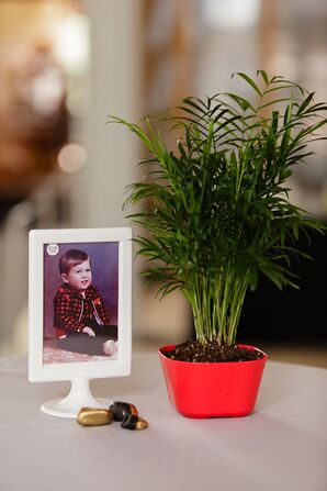 Palm Plant, Gold Painted Rocks and Picture