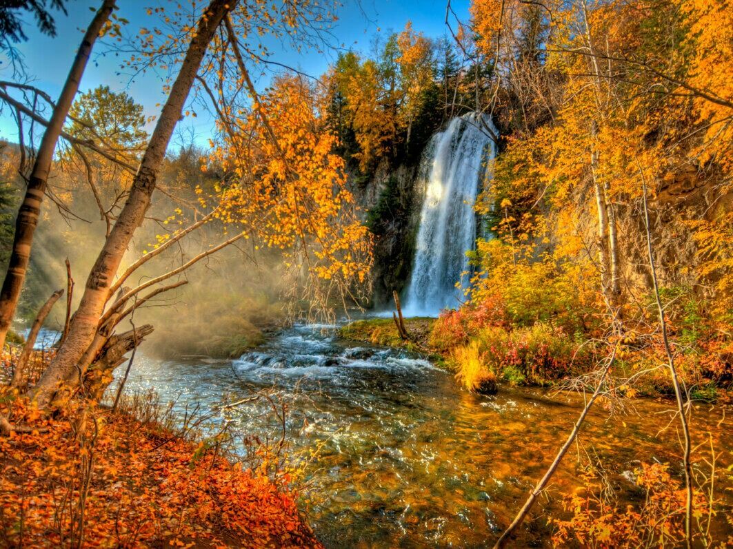 Picture of Drive down Spearfish Canyon