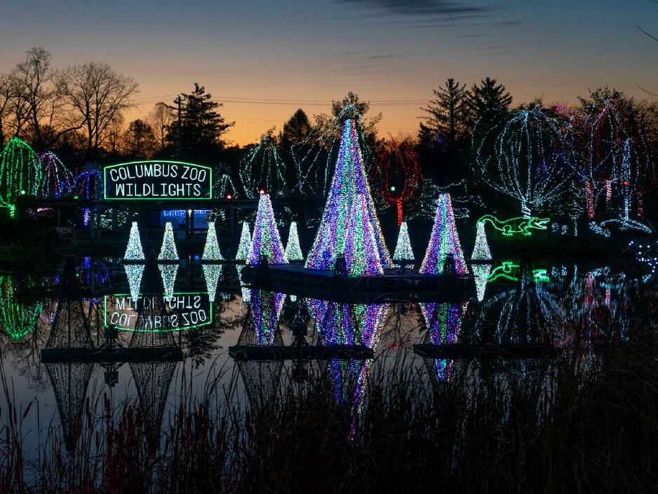 Picture of Columbus Zoo Wildlights