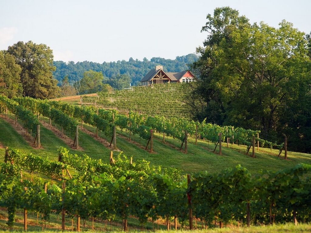 Picture of Addison Farms Vineyard