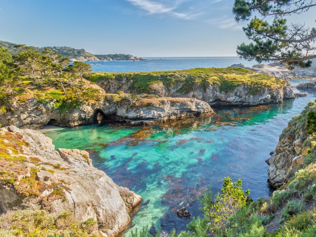 Picture of Point Lobos State Natural Reserve
