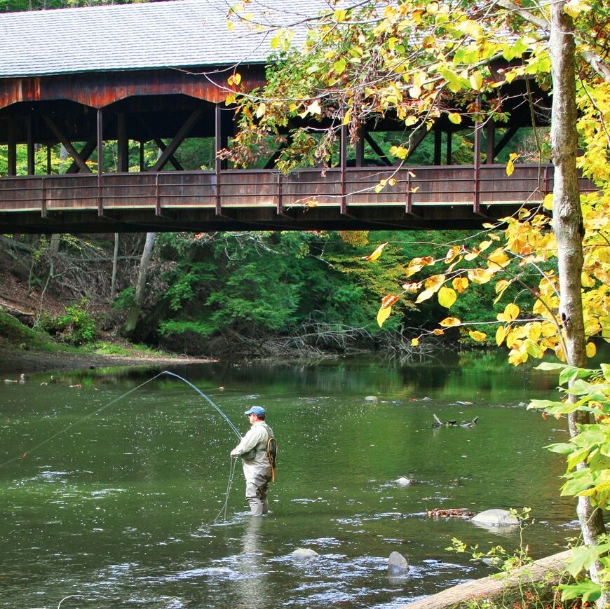 Picture of Mohican State Park
