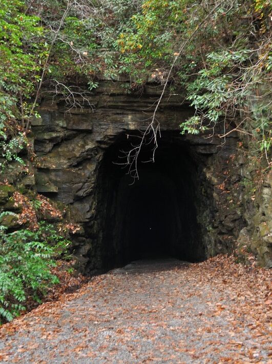 Picture of Stumphouse Tunnel & Issaqueena Falls