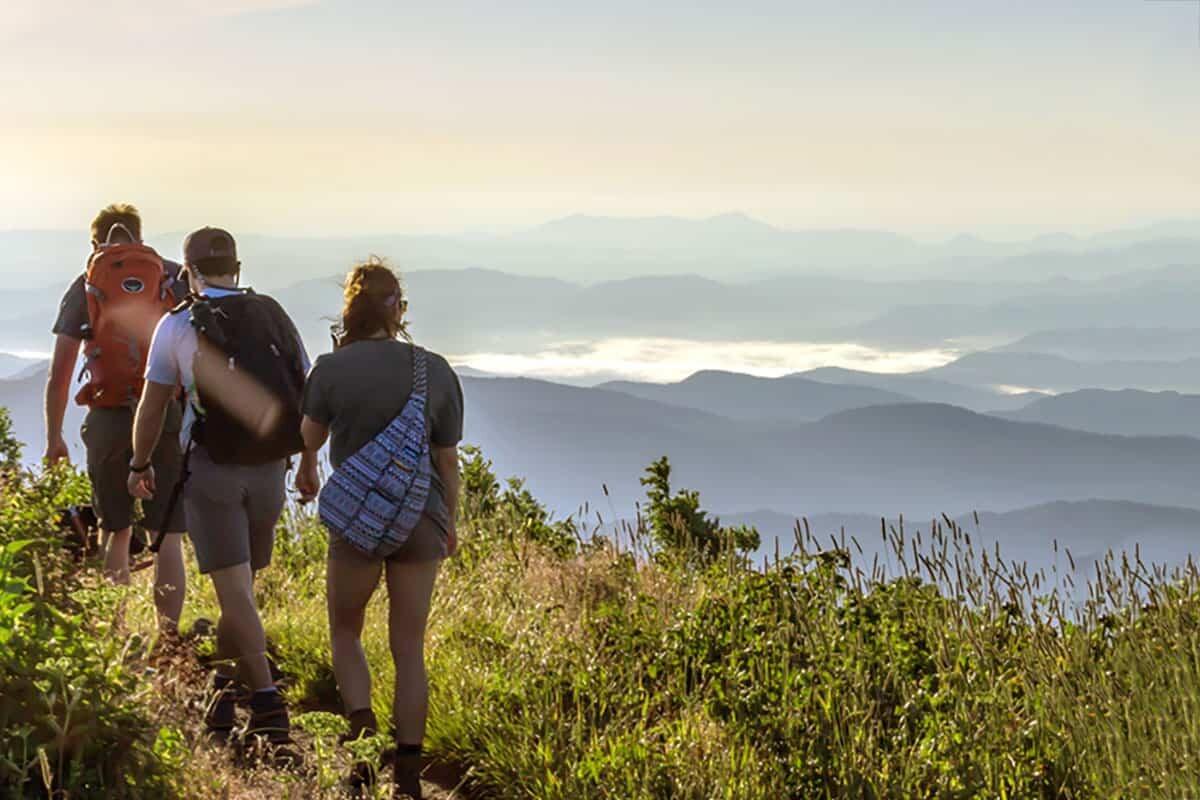 Picture of Appalachian Trail Southern Terminus