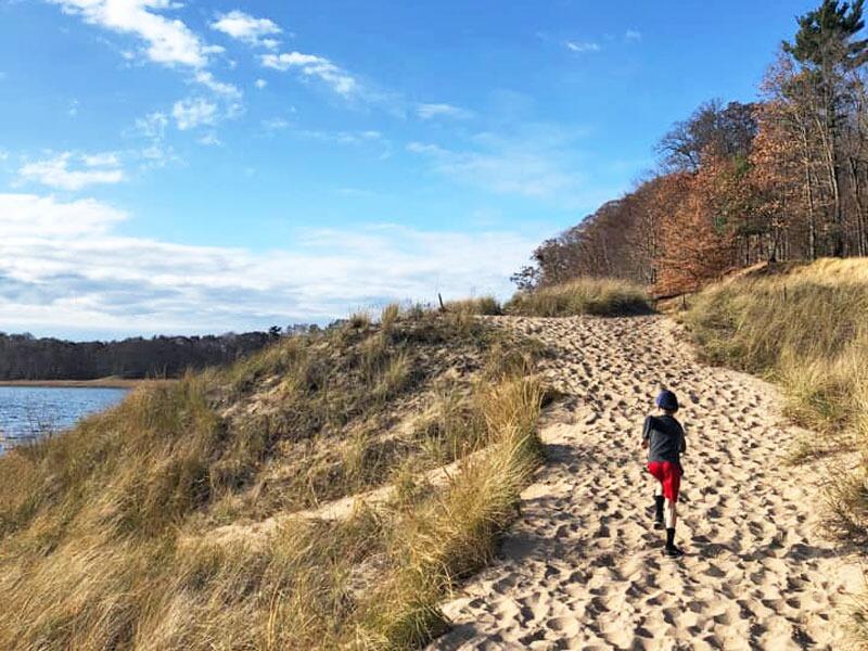 Picture of North Ottawa Dunes