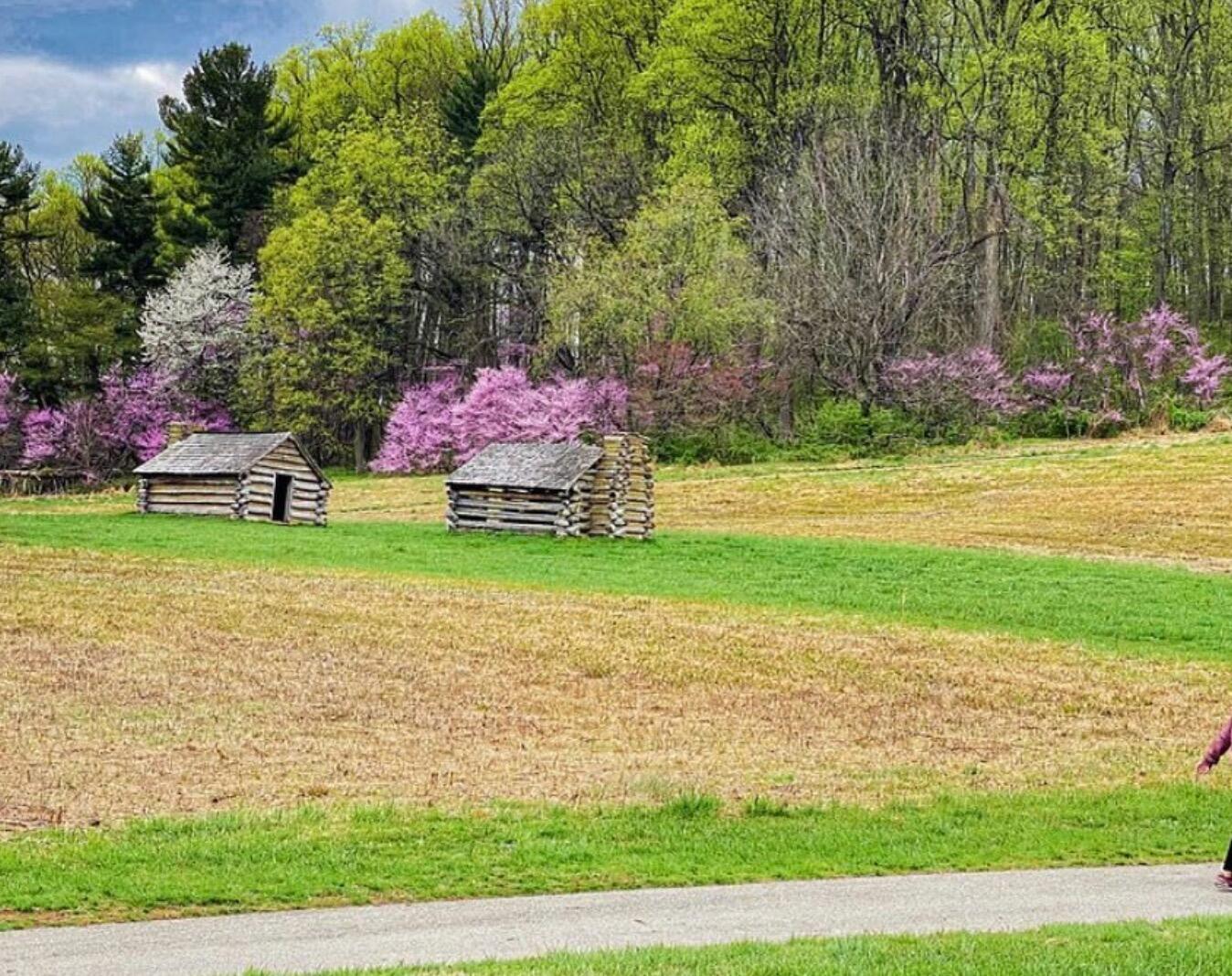 Picture of Valley Forge National Historical Park