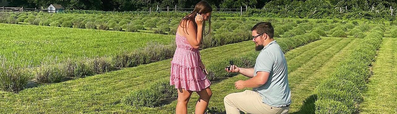 Picture of The Proposal