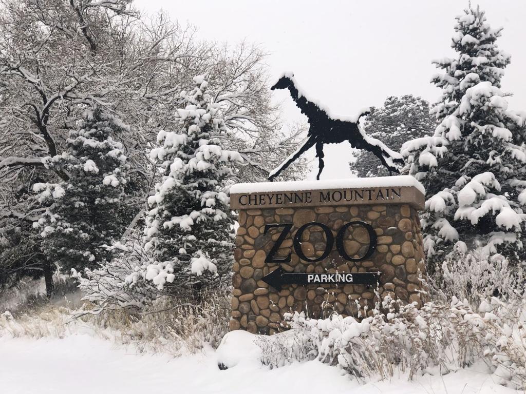 Picture of Cheyenne Mountain Zoo