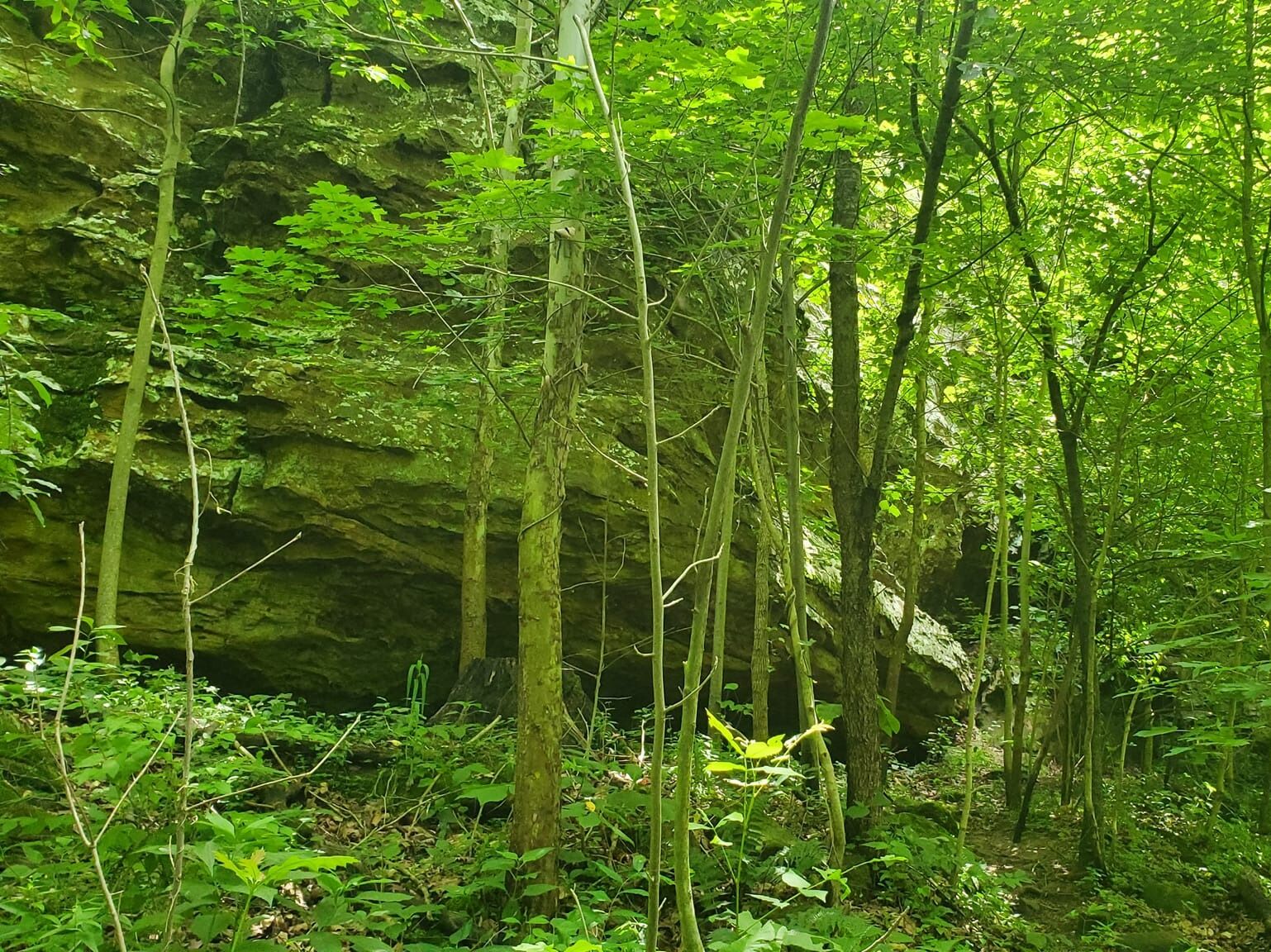 Picture of Giant City State Park