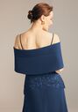 AW Bridal AW Inger Dress Blue Mother Of The Bride Dress - thumbnail - 4