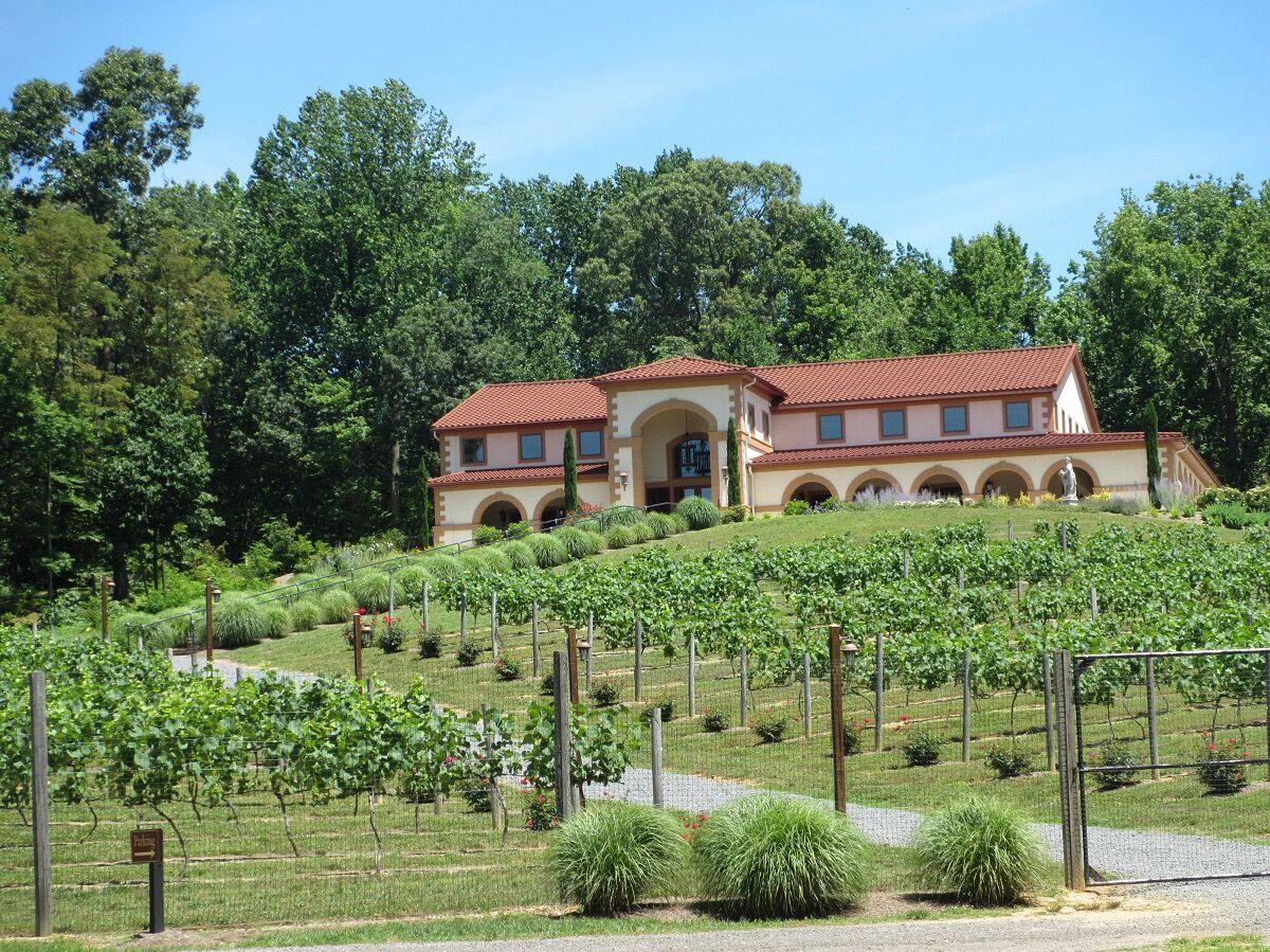 Picture of Running Hare Vineyard
