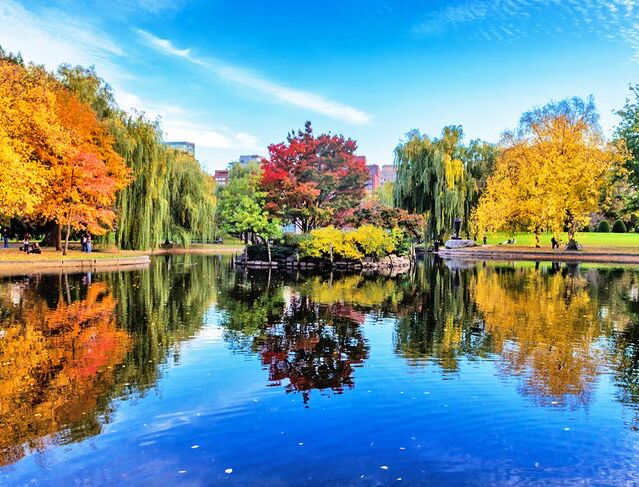 Picture of Boston Common