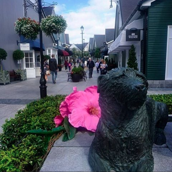 Picture of Kildare Village